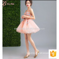 Nifty High Fashion Women Party Short Elegante Guangzhou Flower Girl Evening Dresses